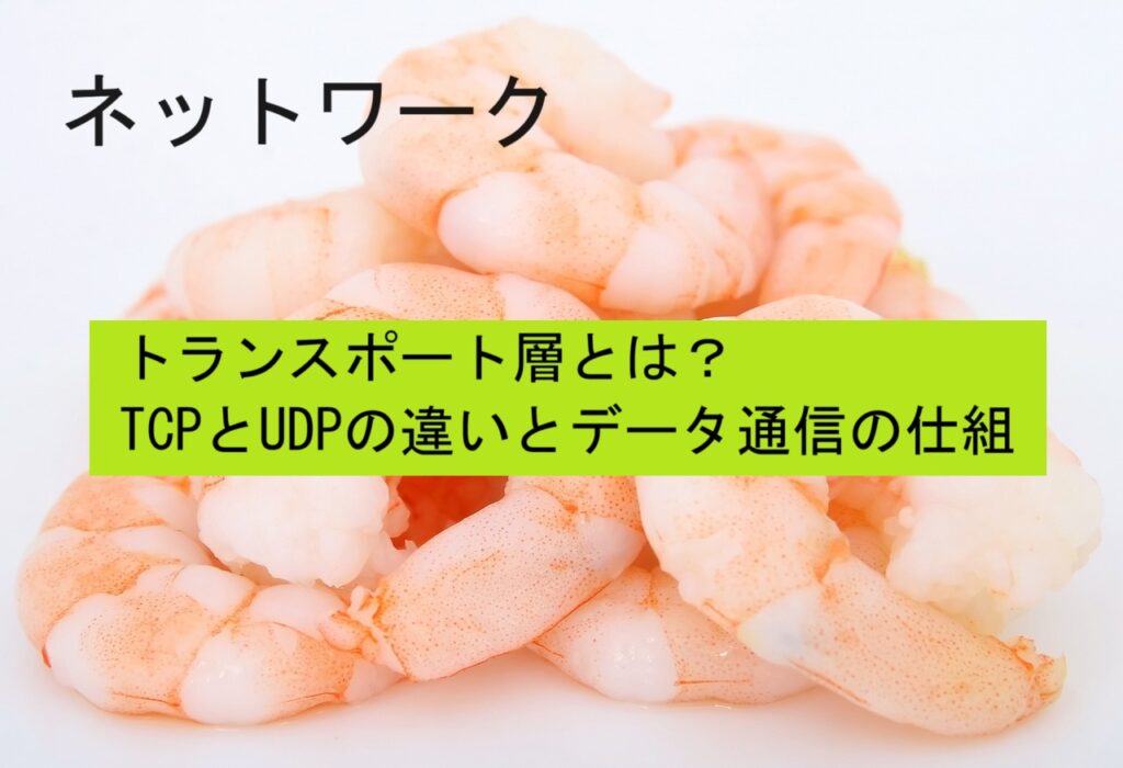 トランスポート層とは?TCPとUDPの違いとデータ通信の仕組 シュリンプークラブ