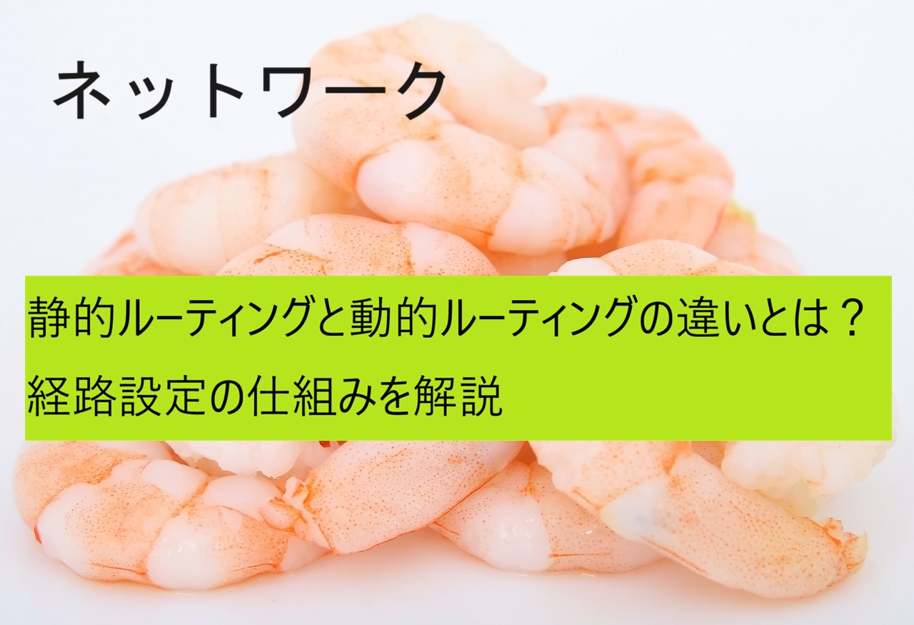 静的ルーティングと動的ルーティング