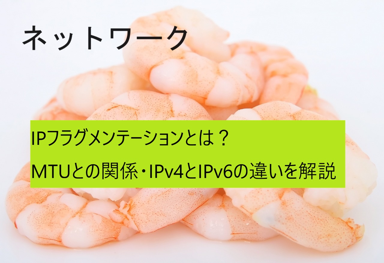 IPフラグメンテーション