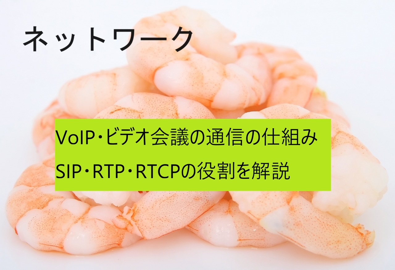 VoIP・ビデオ会議の通信