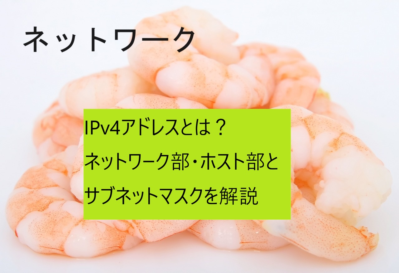 IPv4アドレス