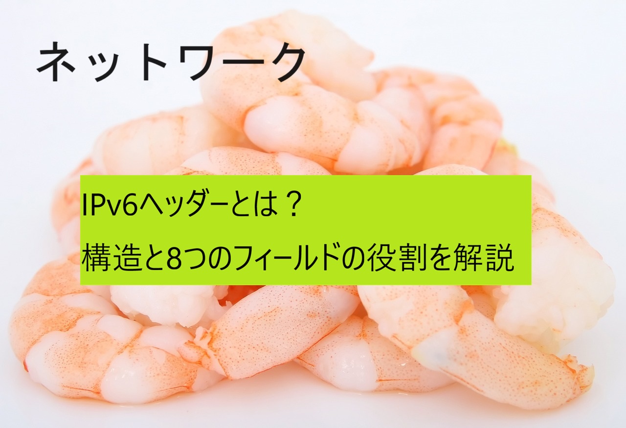 IPv6ヘッダー