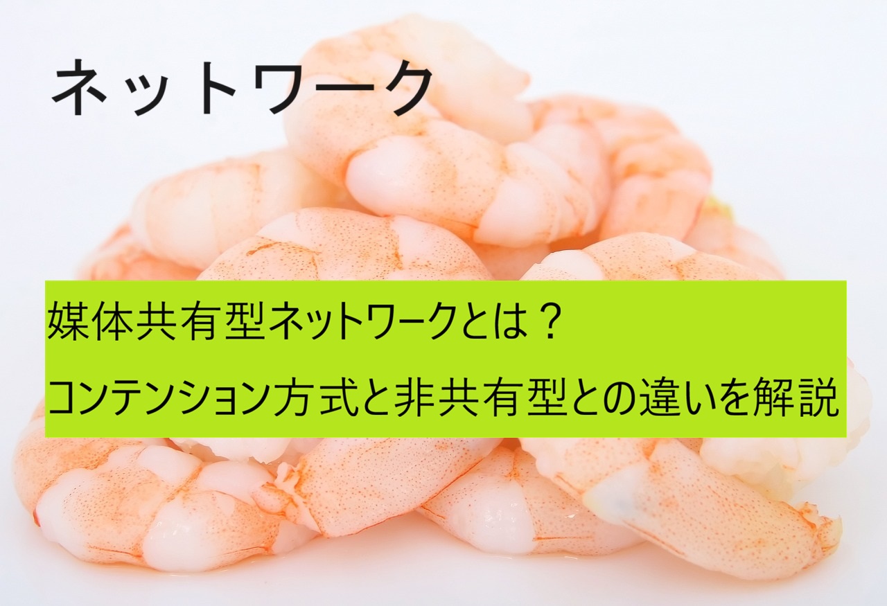 媒体共有型ネットワーク