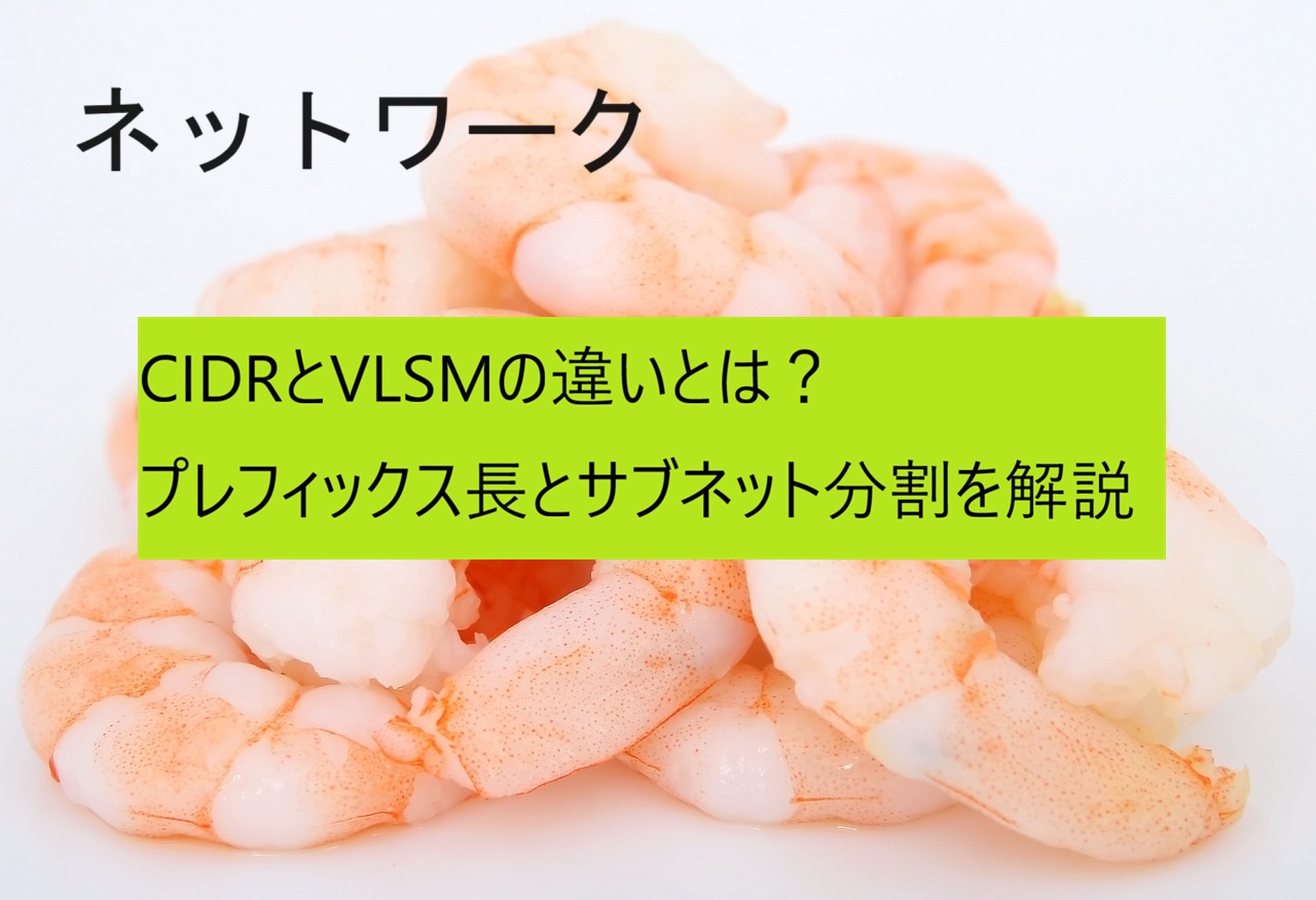 CIDRとVLSM